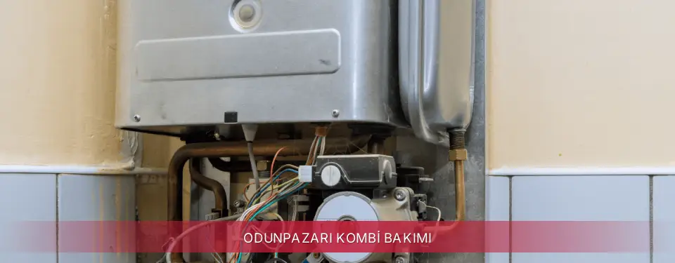 Odunpazarı İlçemi Maktek Kombi Bakımı